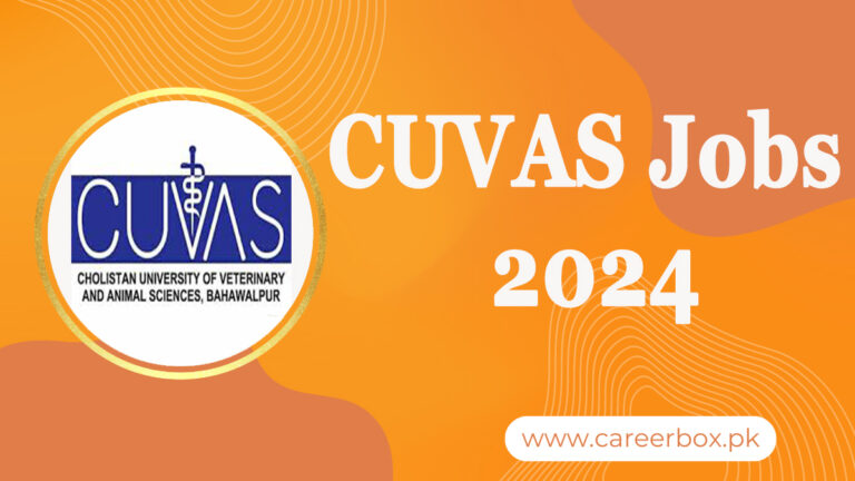 CUVAS jobs