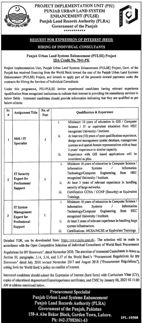 Punjab Urban Land Systems Enhancement PULSE Jobs 2024