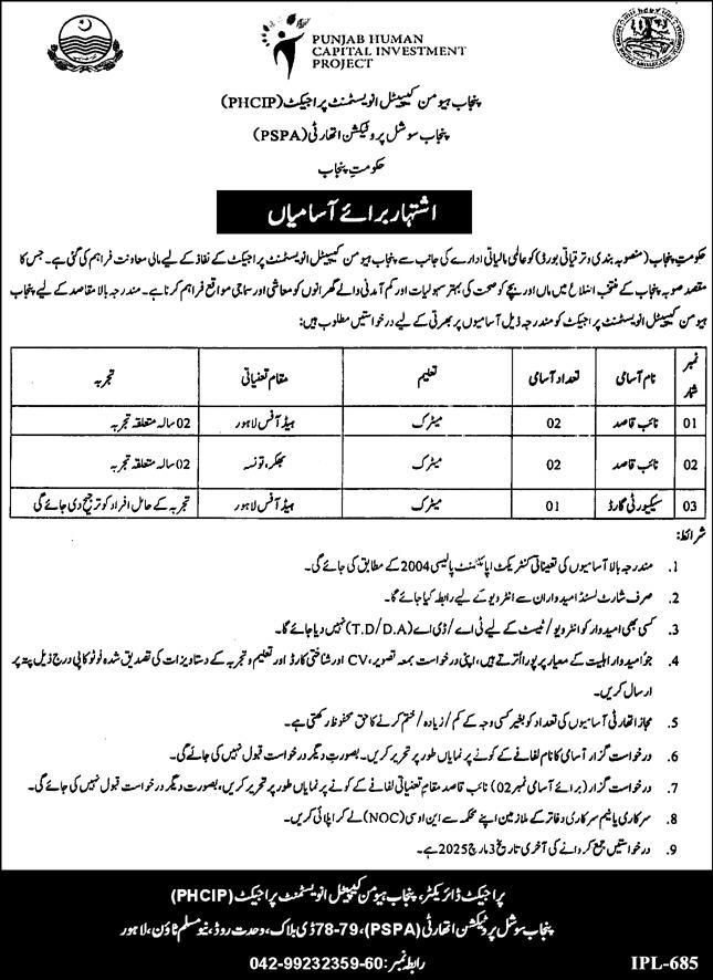 Punjab Human Capital Investment Project PHCIP Jobs 2025