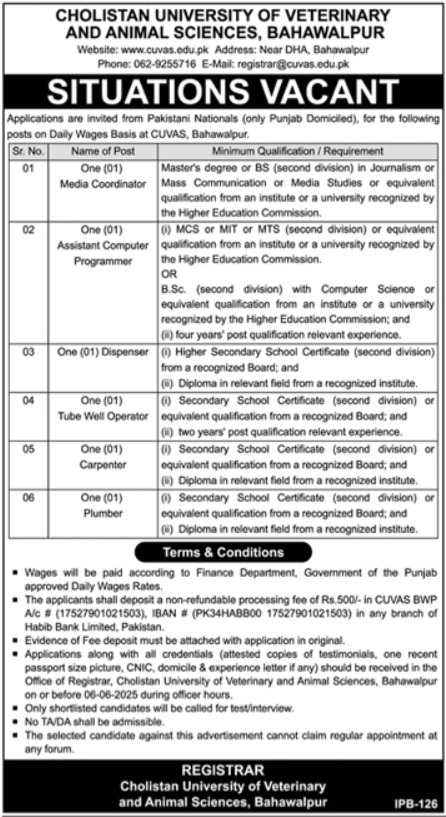 CUVAS Bahawalpur Jobs 2025