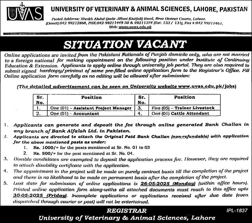 University of Veterinary & Animal Sciences UVAS Jobs 2025