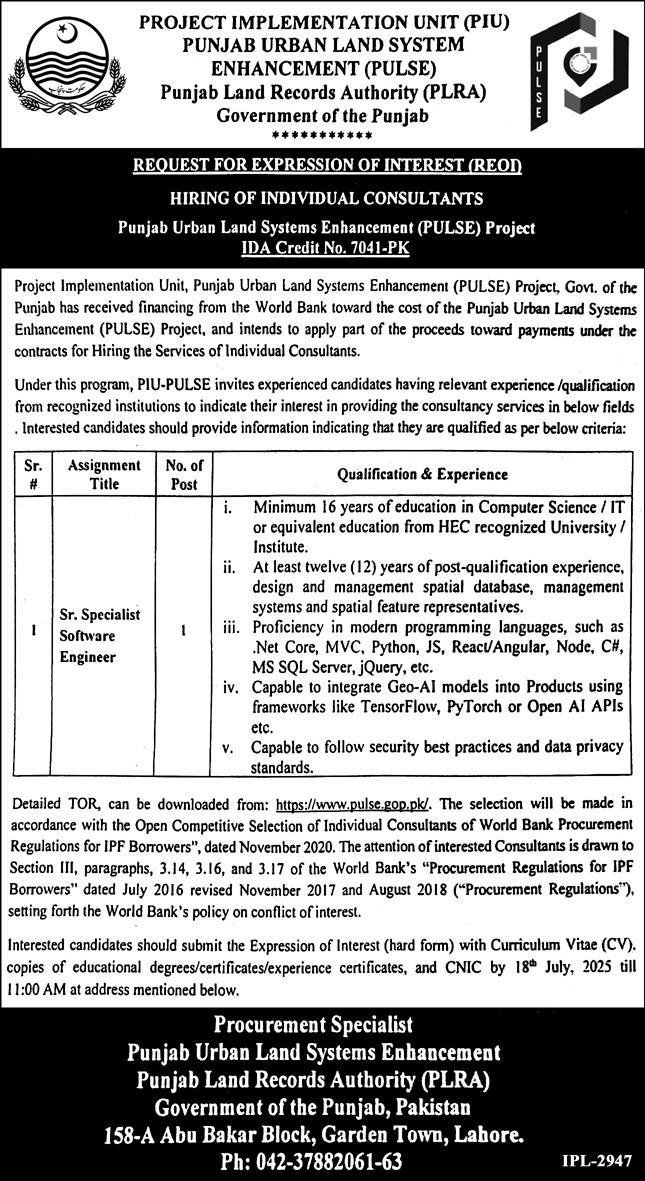 Punjab Land Records Authority PLRA Jobs 2025