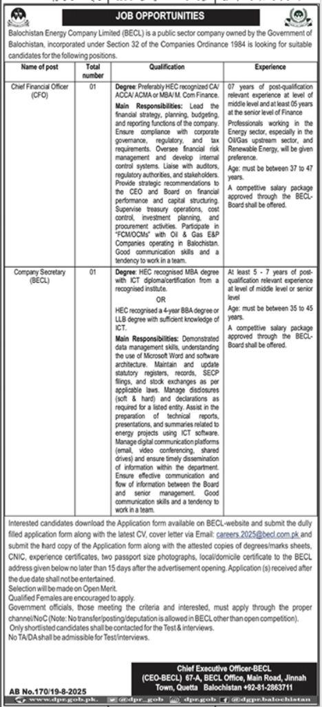 Balochistan Energy Company Limited BECL Jobs 2025